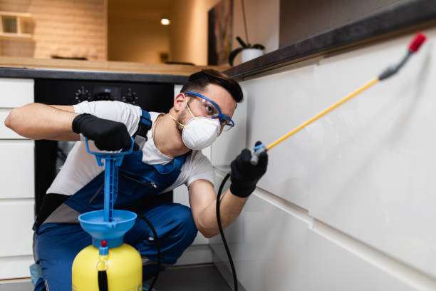 Best Pest Control Near Me  in Villas, FL