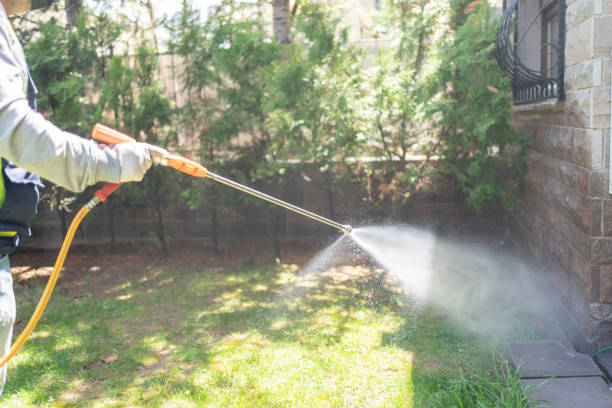 Spider Control Near Me in Villas, FL