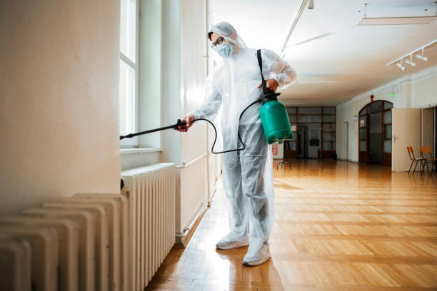 Best Ant Control Services  in Villas, FL