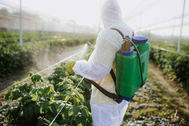Best Emergency Pest Control  in Villas, FL